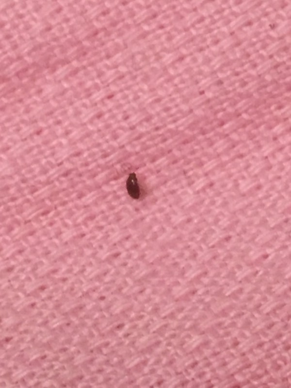 第338页
